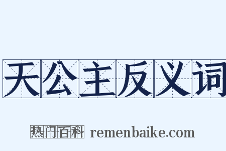 天公主反义词是什么意思的图片